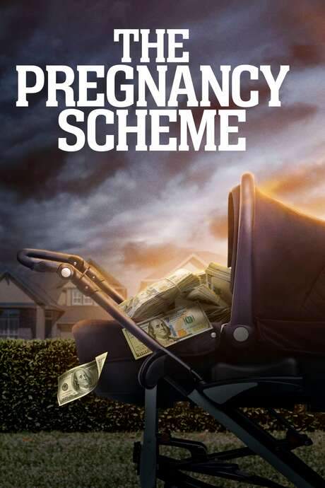 The Pregnancy Scheme